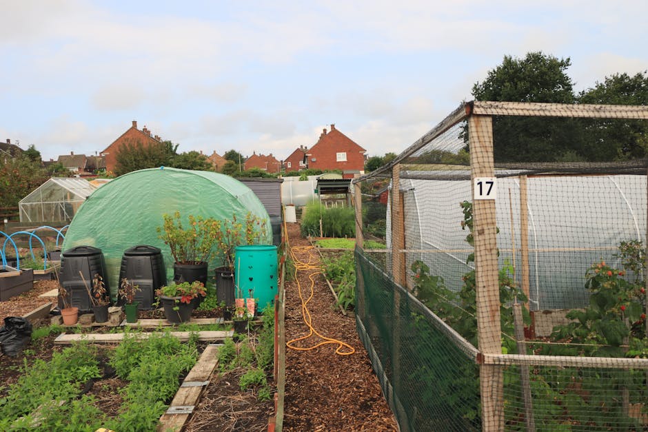 Making Compost: Turning Waste into Garden Gold