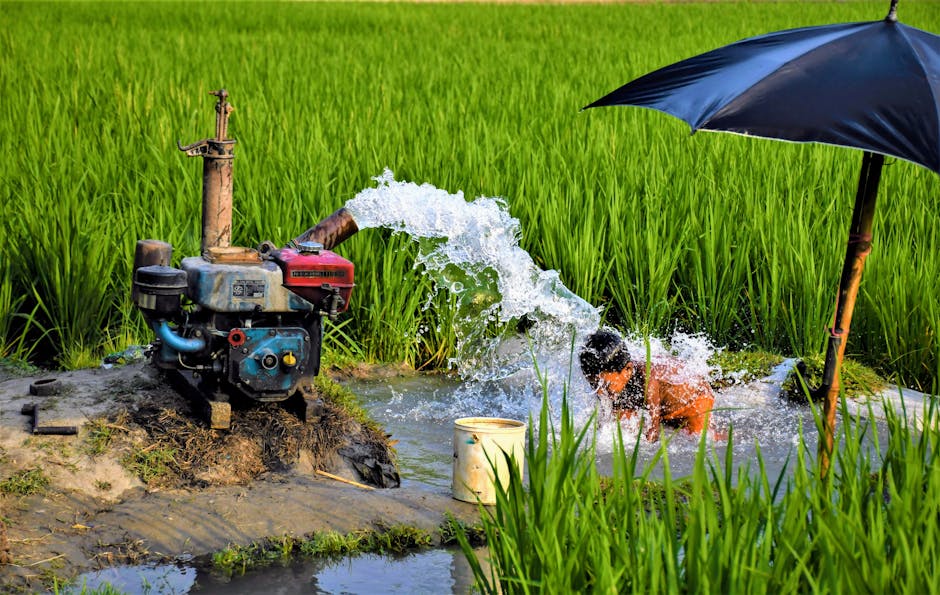 Water Management on Rural Properties: Harvesting and Conservation