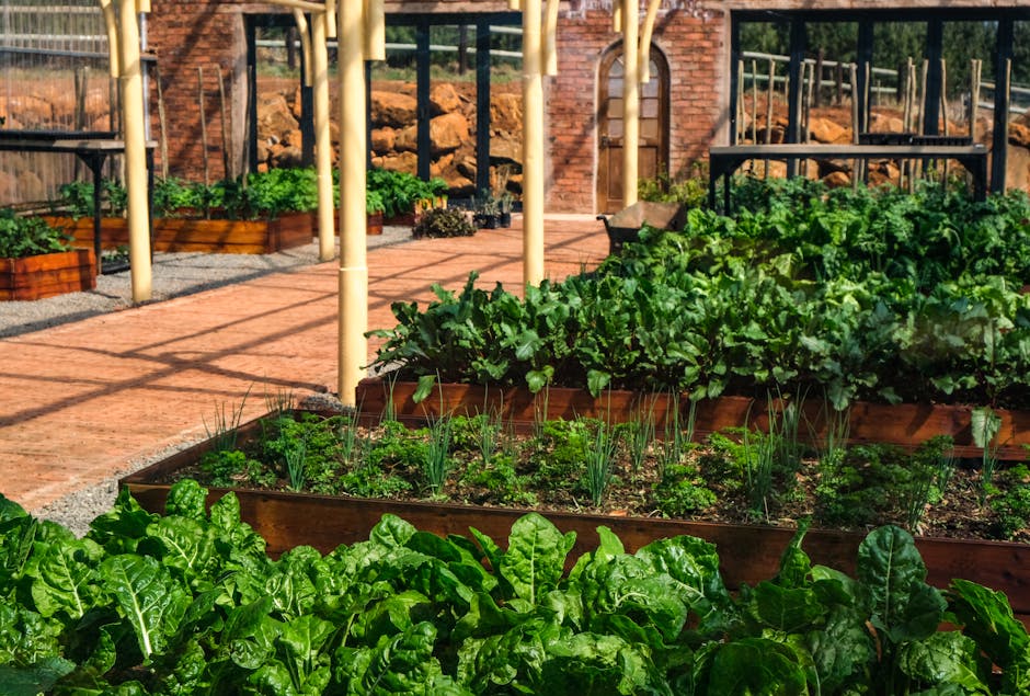 Getting Started with Small-Scale Vegetable Growing
